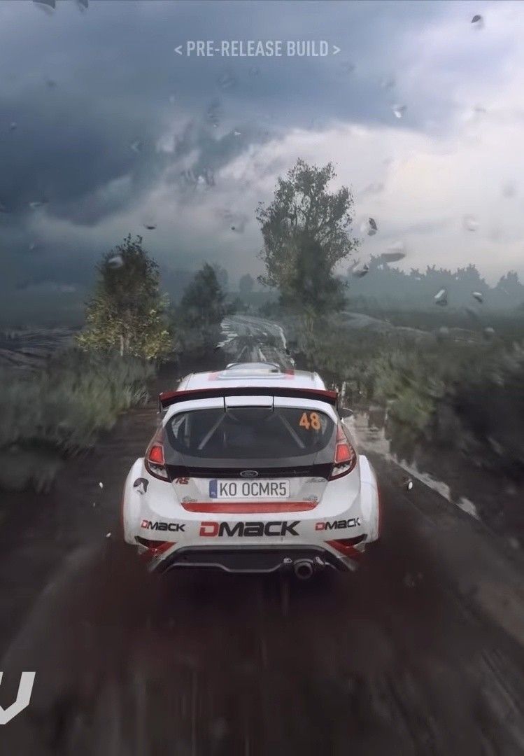 Dirt Rally
